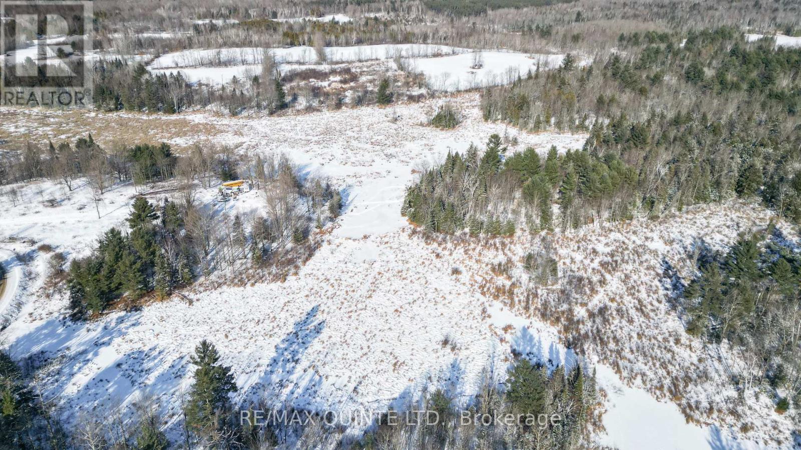 494 Twin Sister Lakes Road, Marmora And Lake, Ontario  K0K 2M0 - Photo 14 - X12084496