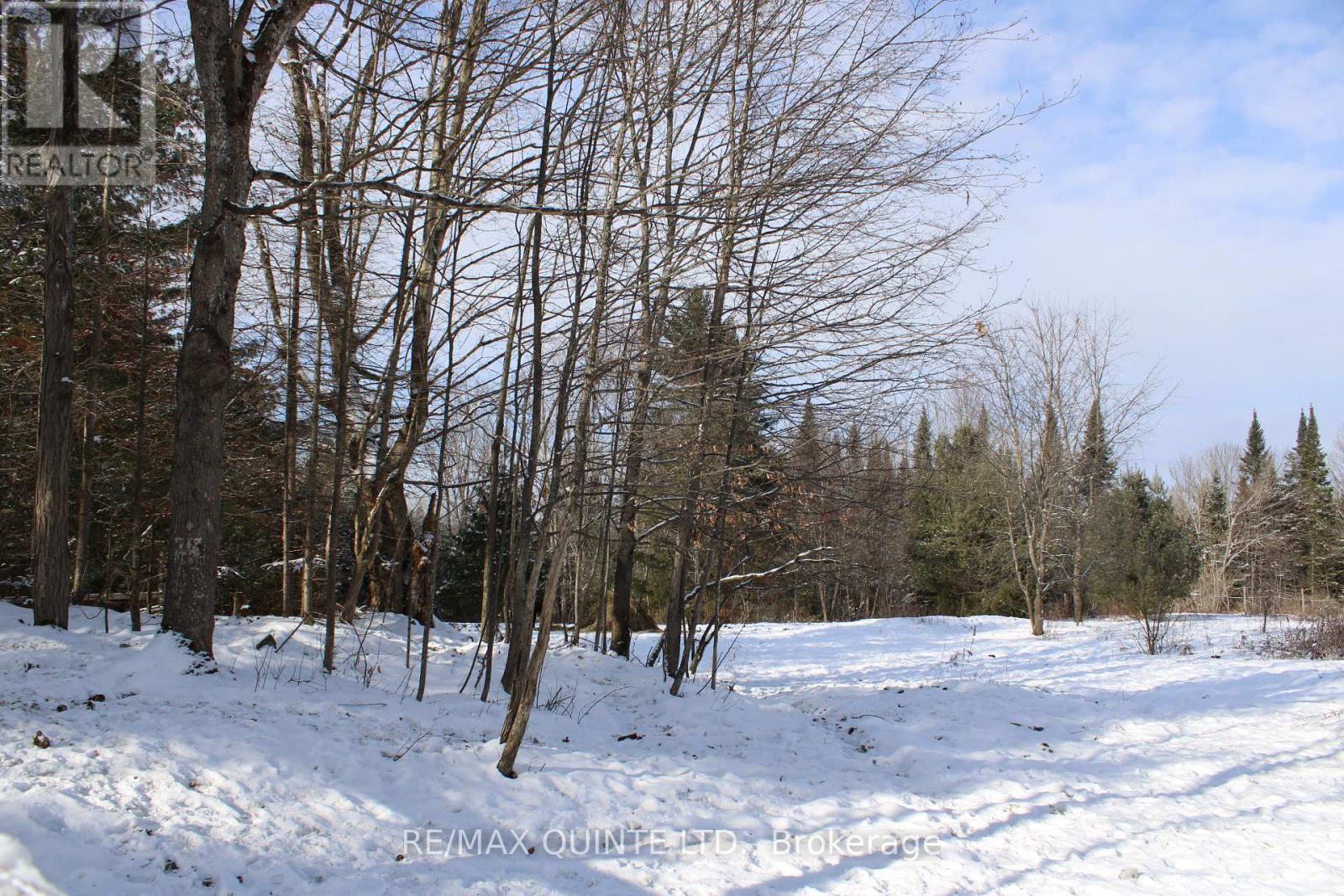494 Twin Sister Lakes Road, Marmora And Lake, Ontario  K0K 2M0 - Photo 4 - X12084496