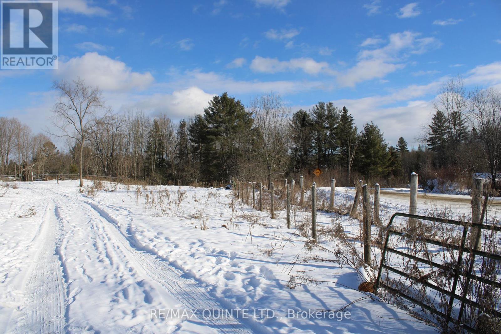 494 Twin Sister Lakes Road, Marmora And Lake, Ontario  K0K 2M0 - Photo 6 - X12084496