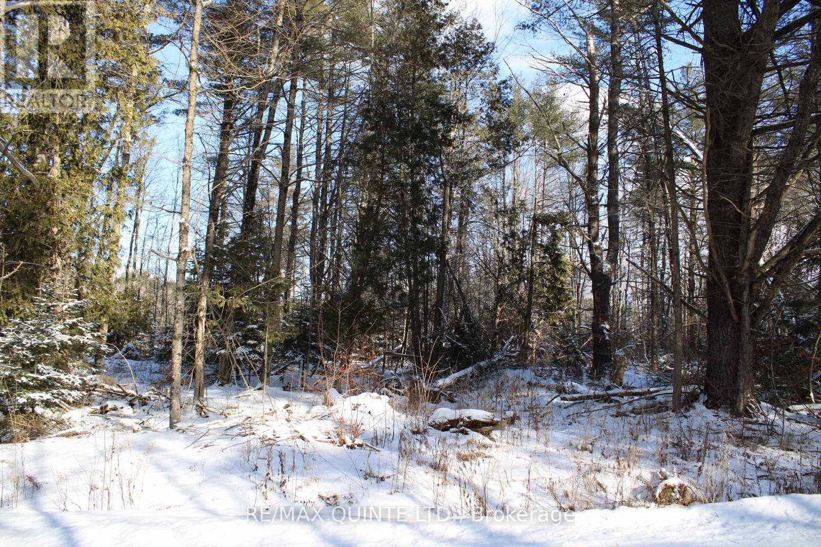 494 Twin Sister Lakes Road, Marmora And Lake, Ontario  K0K 2M0 - Photo 9 - X12084496
