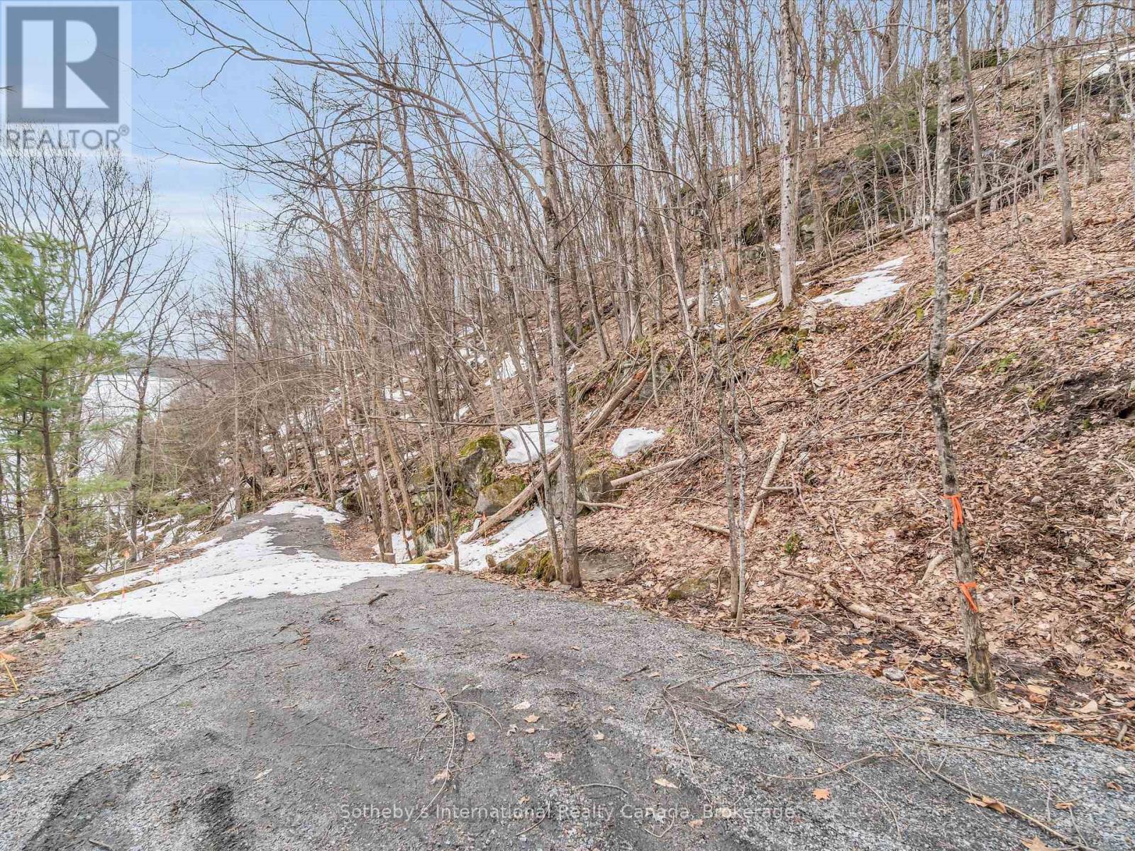 243 Prices Point Road, Lake Of Bays, Ontario  P0B 1A0 - Photo 39 - X12084581