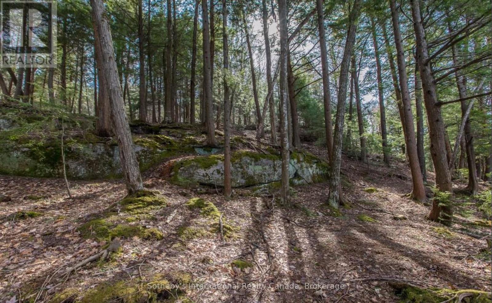 Lot C - 364 Stanley House Road, Seguin, Ontario  P0C 1J0 - Photo 12 - X12084616