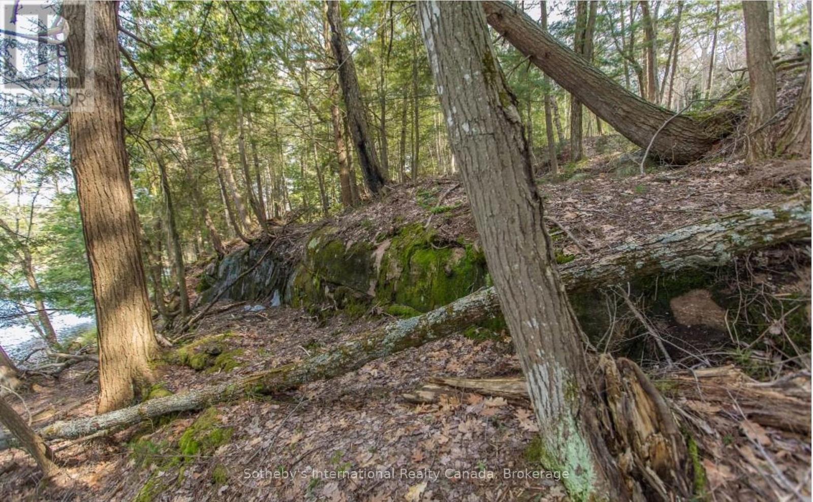 Lot C - 364 Stanley House Road, Seguin, Ontario  P0C 1J0 - Photo 14 - X12084616