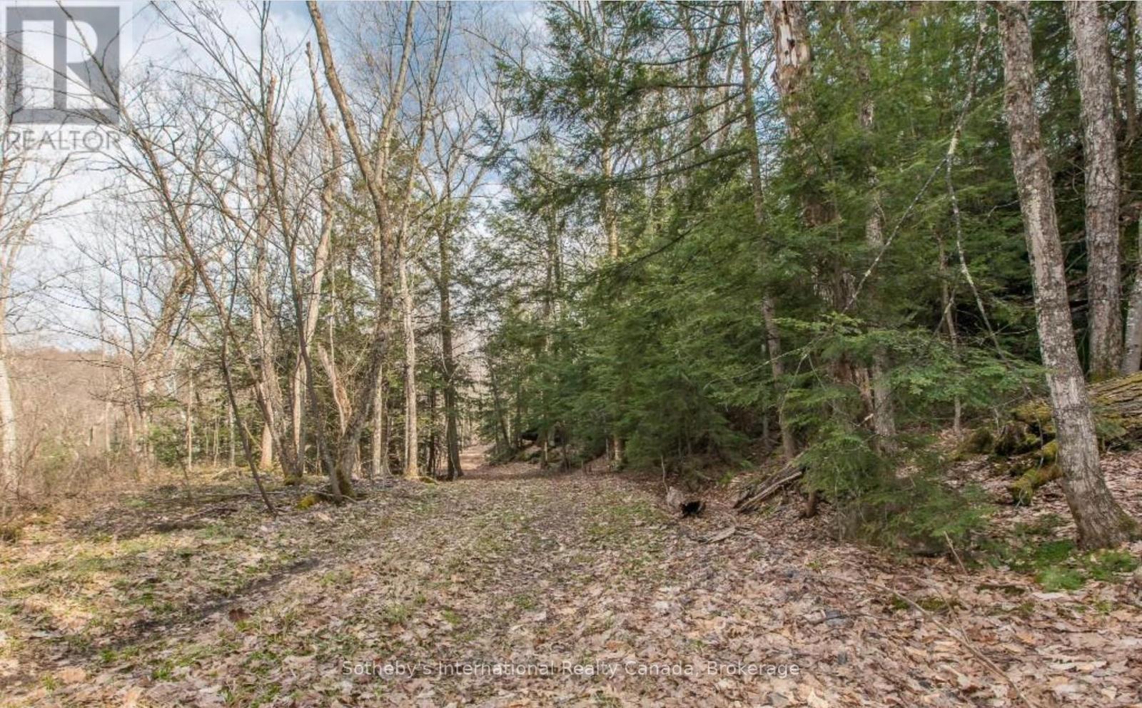 Lot C - 364 Stanley House Road, Seguin, Ontario  P0C 1J0 - Photo 16 - X12084616