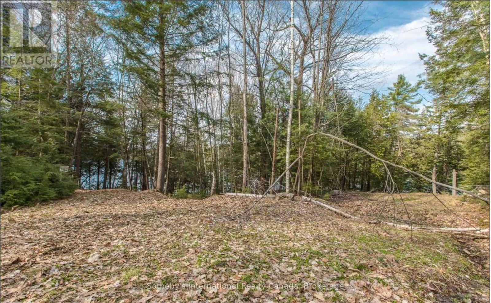 Lot C - 364 Stanley House Road, Seguin, Ontario  P0C 1J0 - Photo 5 - X12084616