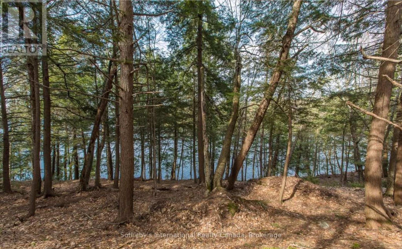 Lot C - 364 Stanley House Road, Seguin, Ontario  P0C 1J0 - Photo 7 - X12084616