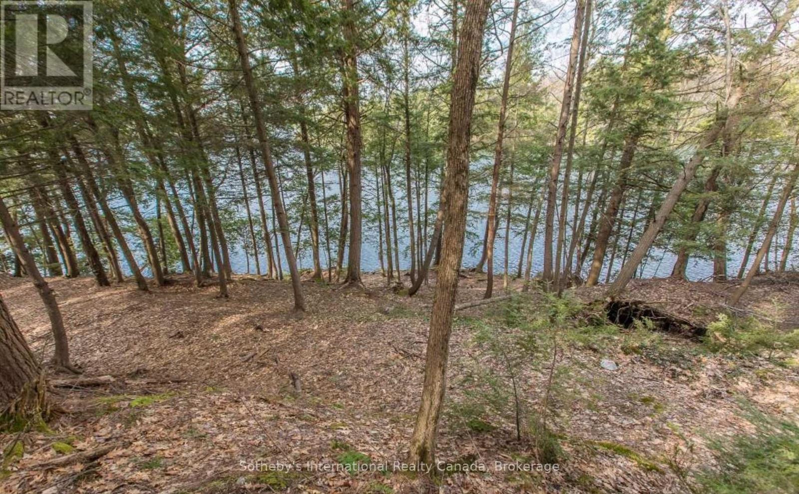Lot C - 364 Stanley House Road, Seguin, Ontario  P0C 1J0 - Photo 8 - X12084616