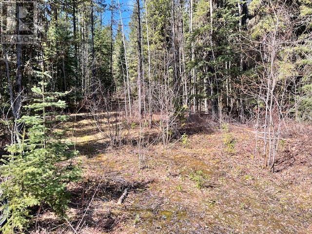 LOT 4 POLLARD ROAD, Quesnel, British Columbia