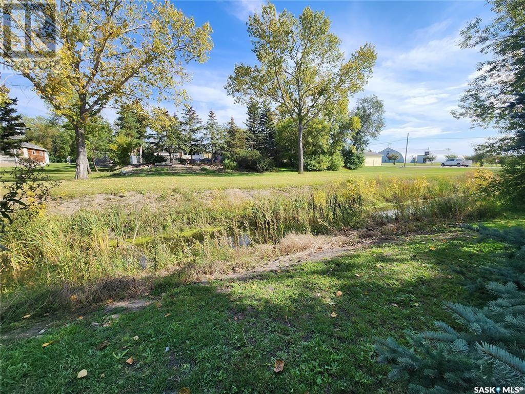 305 9th Avenue, Broadview, Saskatchewan  S0G 0K0 - Photo 10 - SK002854