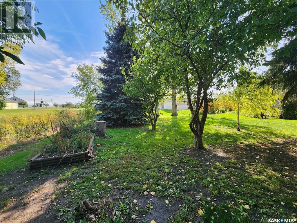 305 9th Avenue, Broadview, Saskatchewan  S0G 0K0 - Photo 6 - SK002854
