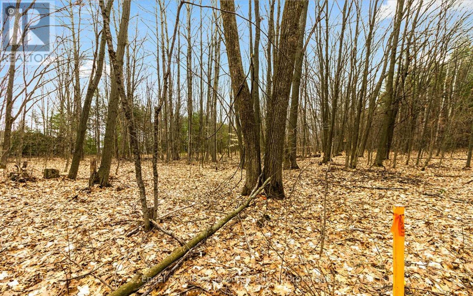 1056 Fuller Avenue, Penetanguishene, Ontario  L9M 1G7 - Photo 11 - S12085106