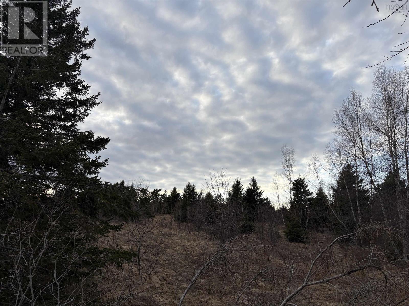 Lot 1-B Marshdale Road, Hopewell, Nova Scotia  B0K 1C0 - Photo 1 - 202507944