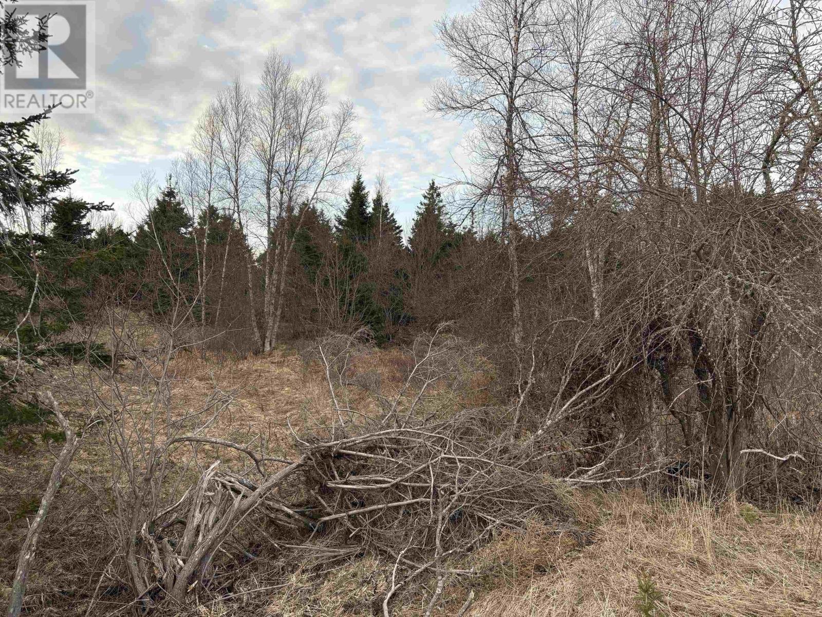 Lot 1-B Marshdale Road, Hopewell, Nova Scotia  B0K 1C0 - Photo 2 - 202507944