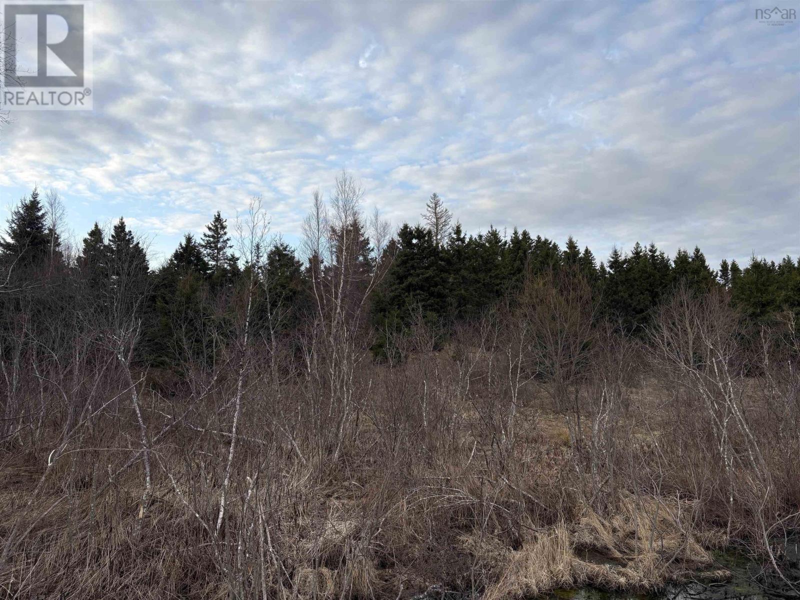 Lot 1-B Marshdale Road, Hopewell, Nova Scotia  B0K 1C0 - Photo 3 - 202507944