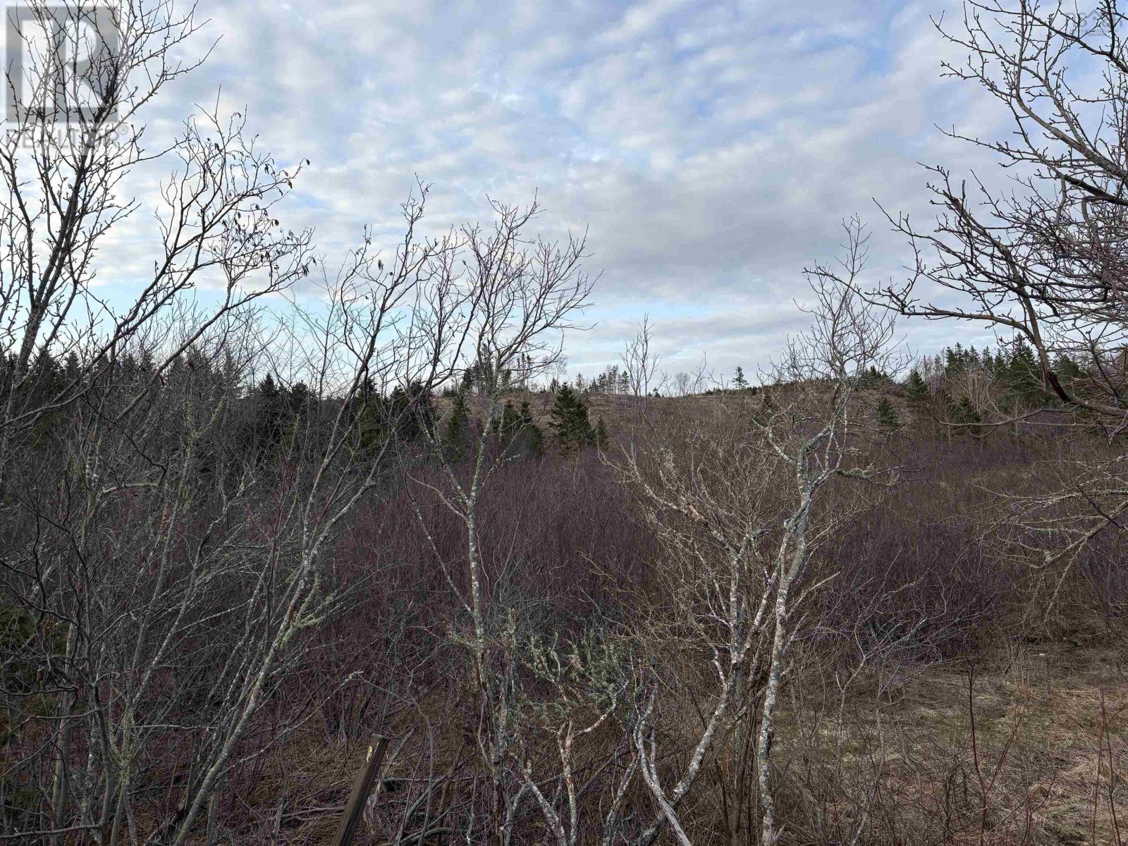 Lot 1-B Marshdale Road, Hopewell, Nova Scotia  B0K 1C0 - Photo 4 - 202507944