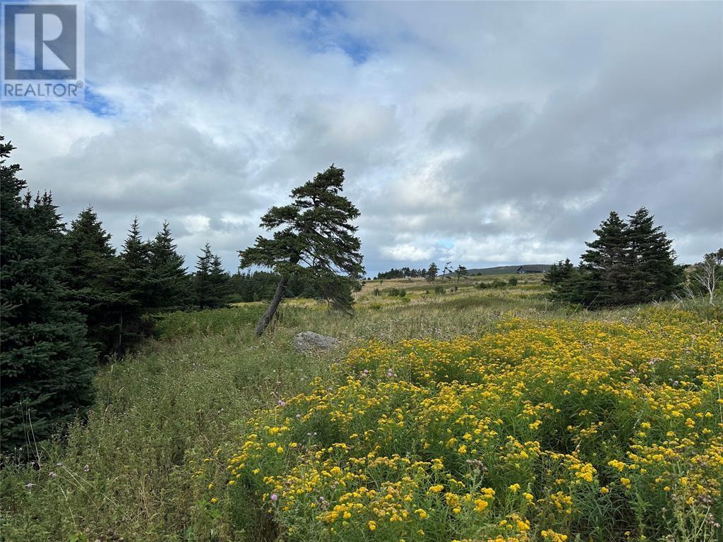 206-224 Outer Cove Road Unit#parcel 1, Logy-Bay Middle Cove Outer Cove, Newfoundland & Labrador  A1K 4E1 - Photo 2 - 1283612