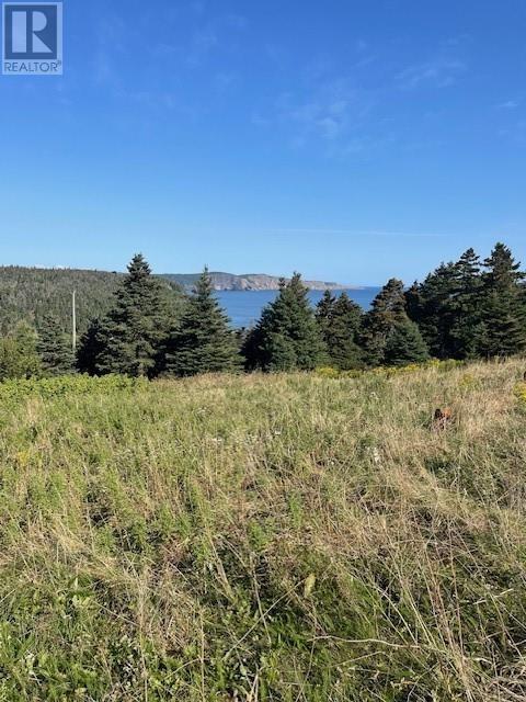 206-224 Outer Cove Road Unit#parcel 1, Logy-Bay Middle Cove Outer Cove, Newfoundland & Labrador  A1K 4E1 - Photo 4 - 1283612