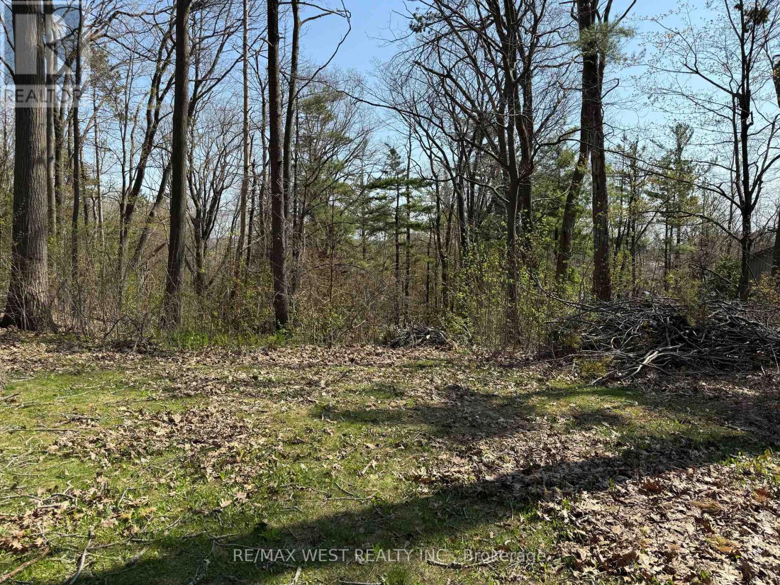 Property at 105 SHIRLEY AVENUE image 2