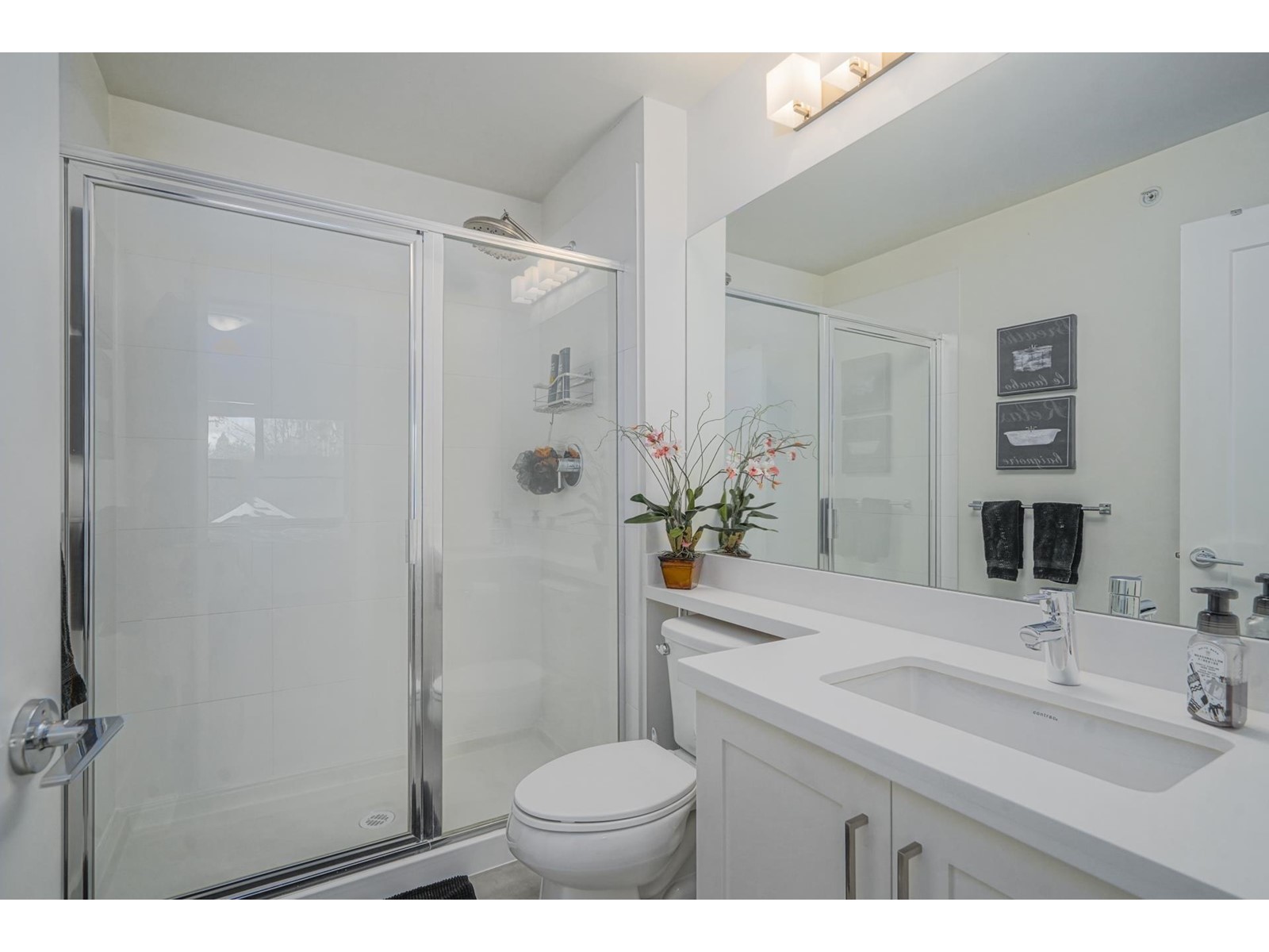 29 8570 204 Street, Langley, British Columbia  V2Y 0T9 - Photo 8 - R2990506