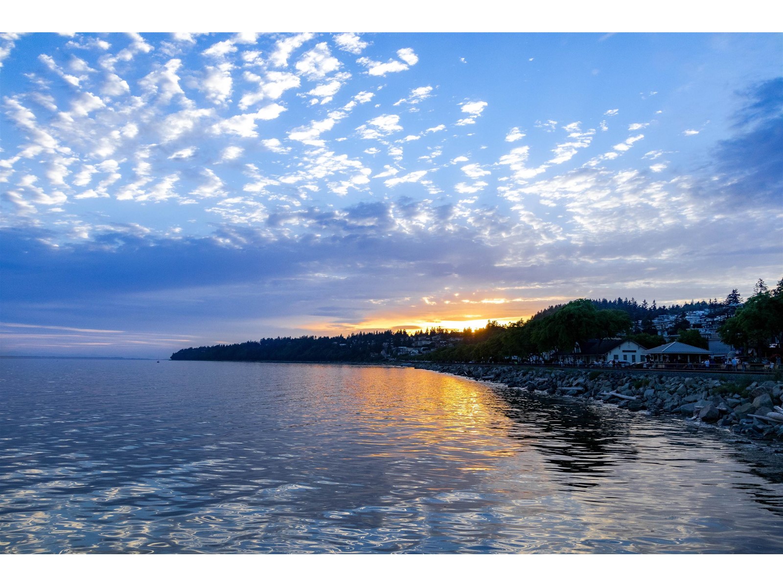 14533 Magdalen Avenue, White Rock, British Columbia  V4B 2X5 - Photo 40 - R2990571