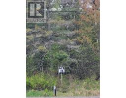 Lot 2 Hwy 535, Noelville, Ca