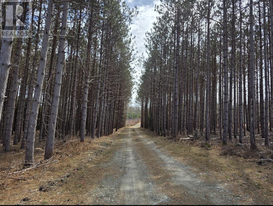 Lot 24-5 Ridge Road, North Range, Nova Scotia  B0W 1H0 - Photo 11 - 202507973