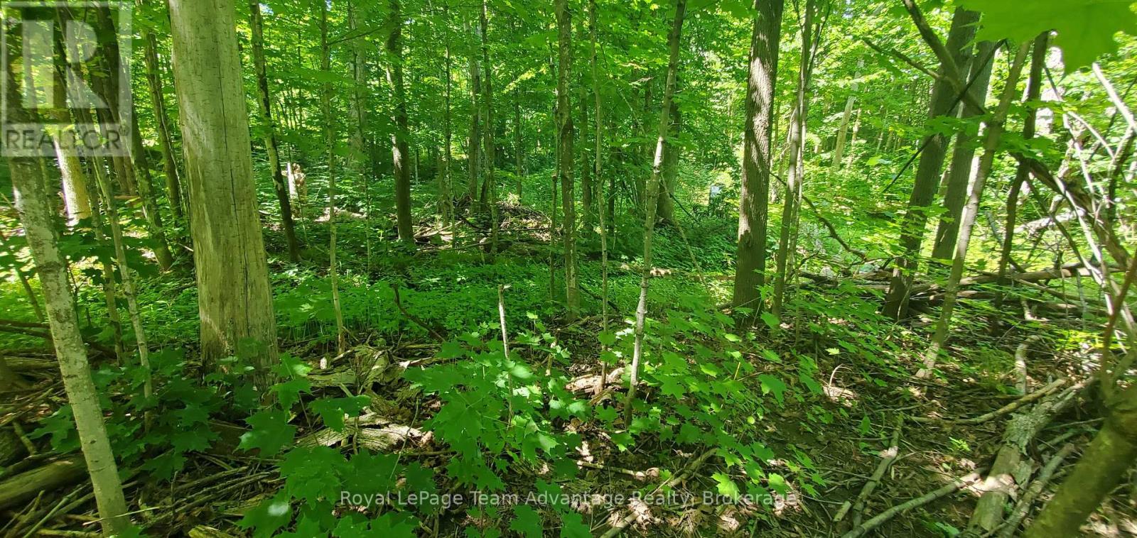 22 Sunnyshore Park Drive, Mckellar, Ontario  P2A 0B5 - Photo 10 - X12085598