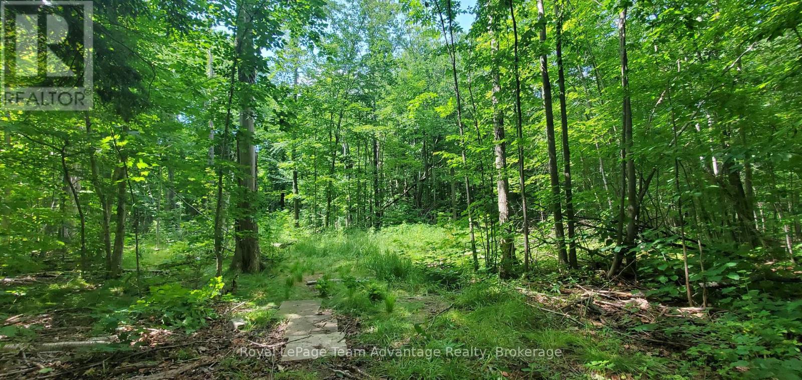 22 Sunnyshore Park Drive, Mckellar, Ontario  P2A 0B5 - Photo 11 - X12085598