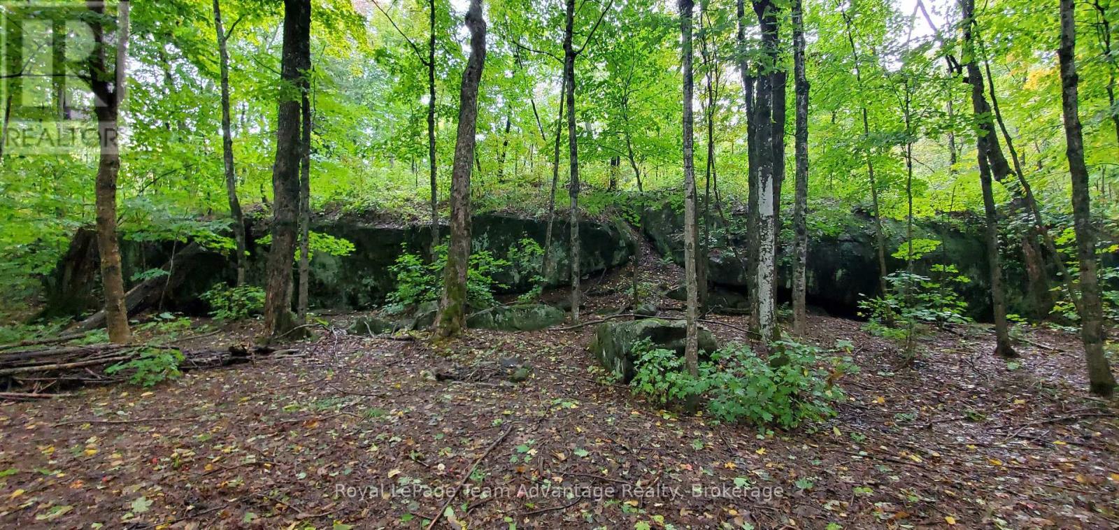 22 Sunnyshore Park Drive, Mckellar, Ontario  P2A 0B5 - Photo 14 - X12085598