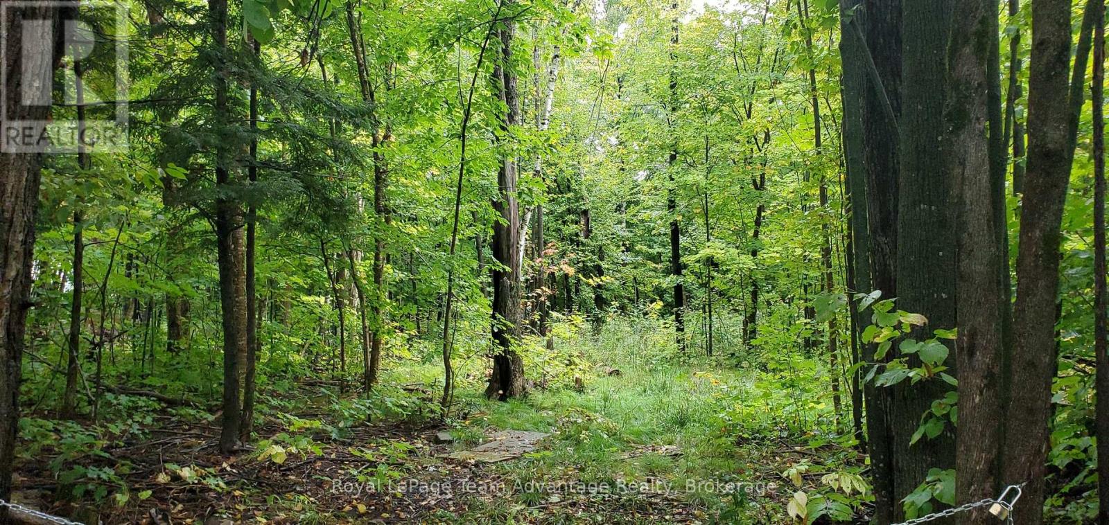 22 Sunnyshore Park Drive, Mckellar, Ontario  P2A 0B5 - Photo 2 - X12085598