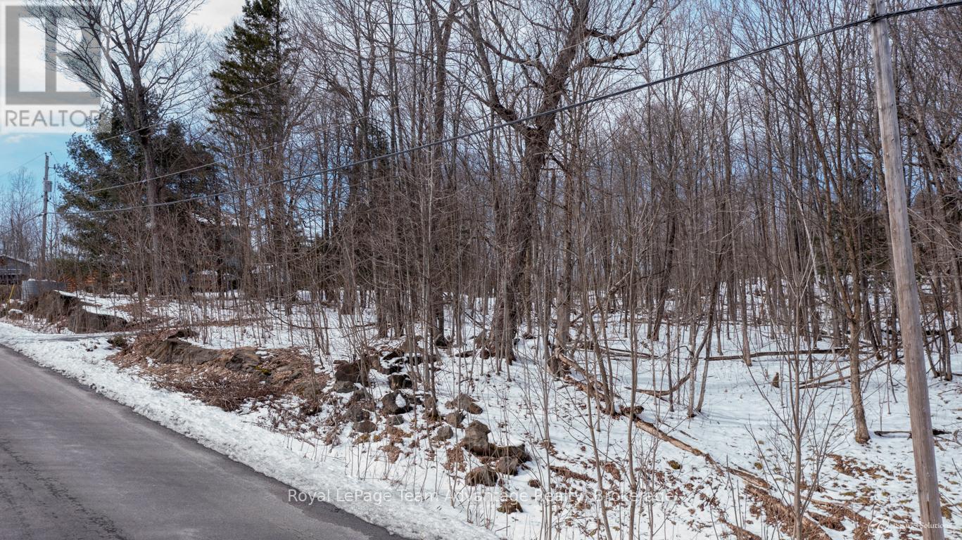 22 Sunnyshore Park Drive, Mckellar, Ontario  P2A 0B5 - Photo 20 - X12085598