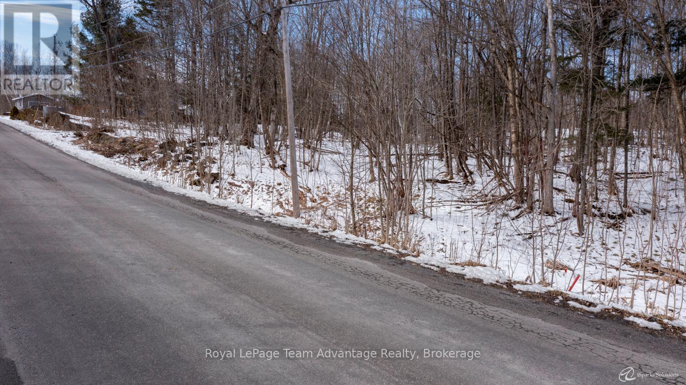22 Sunnyshore Park Drive, Mckellar, Ontario  P2A 0B5 - Photo 34 - X12085598