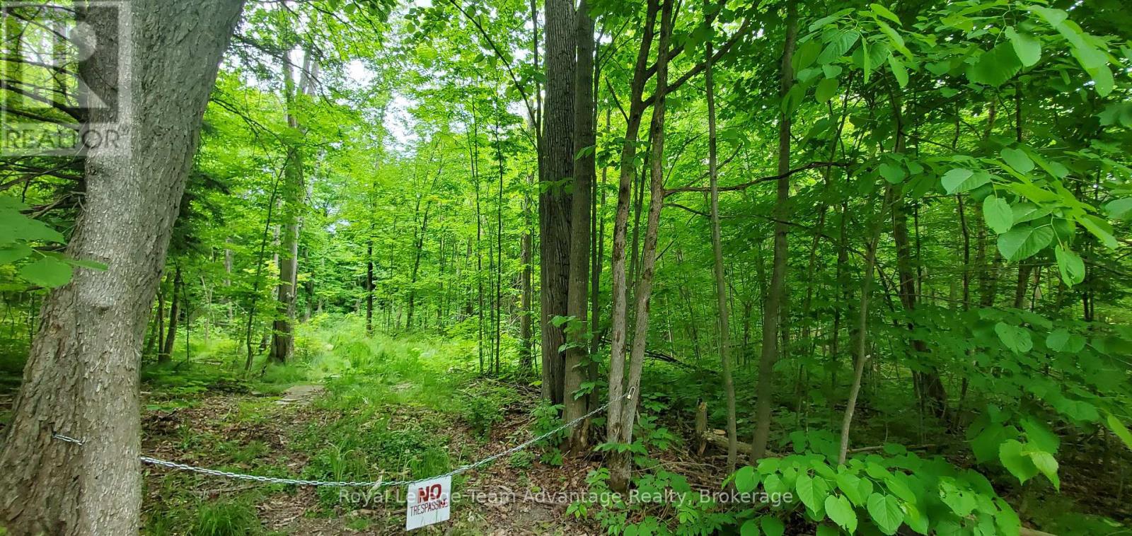 22 Sunnyshore Park Drive, Mckellar, Ontario  P2A 0B5 - Photo 8 - X12085598