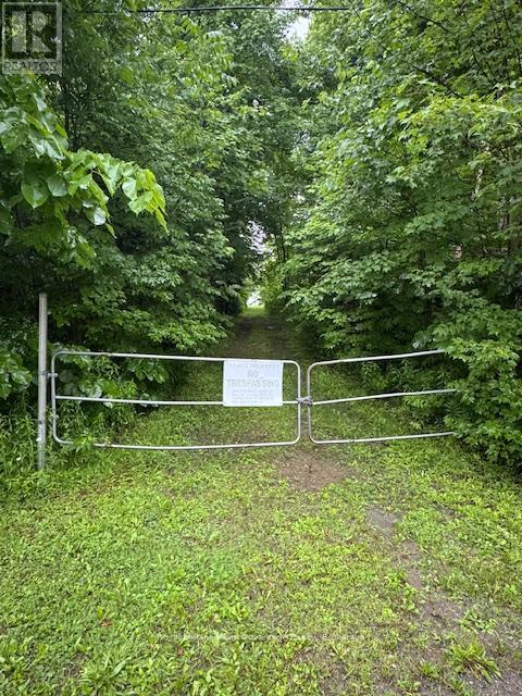 Lot 29 Farleys Road, Whitestone, Ontario P0A 1G0 - Photo 4 - X12085599