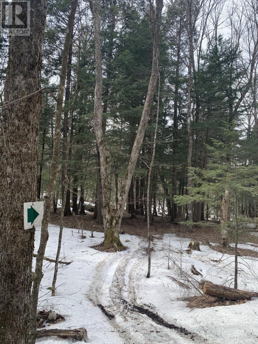 0 Kashagawigamog Lake Road, Minden Hills, Ontario  K0M 1S0 - Photo 33 - X12085655