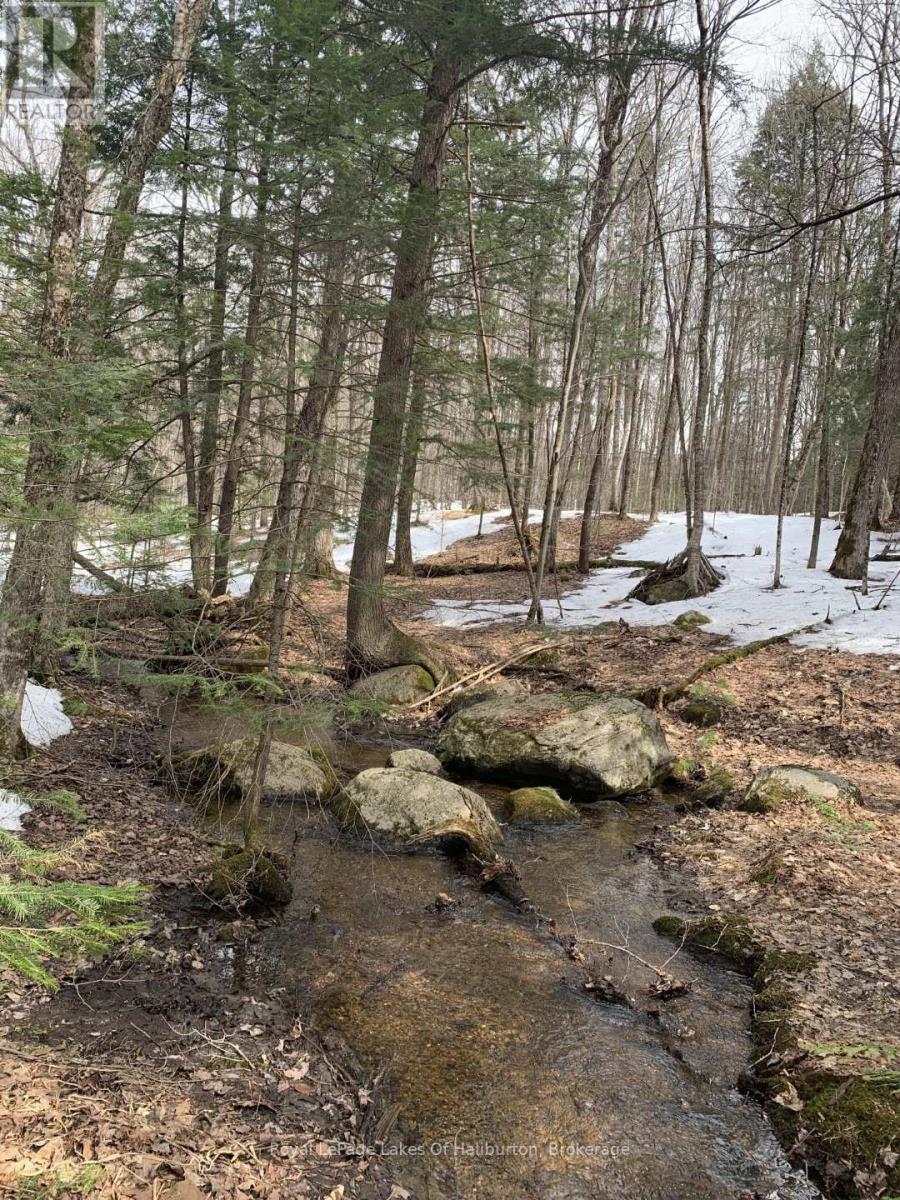 0 Kashagawigamog Lake Road, Minden Hills, Ontario  K0M 1S0 - Photo 36 - X12085655