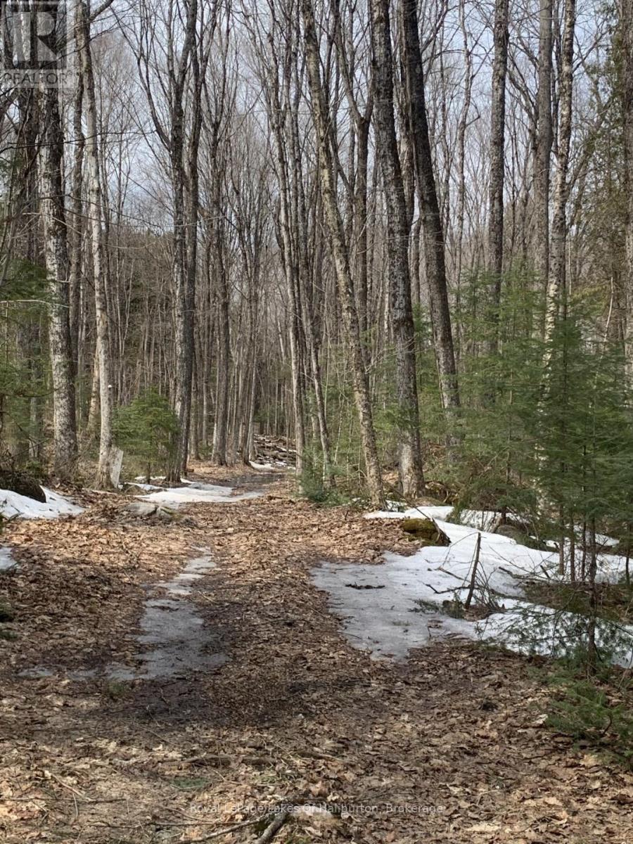 0 Kashagawigamog Lake Road, Minden Hills, Ontario  K0M 1S0 - Photo 37 - X12085655