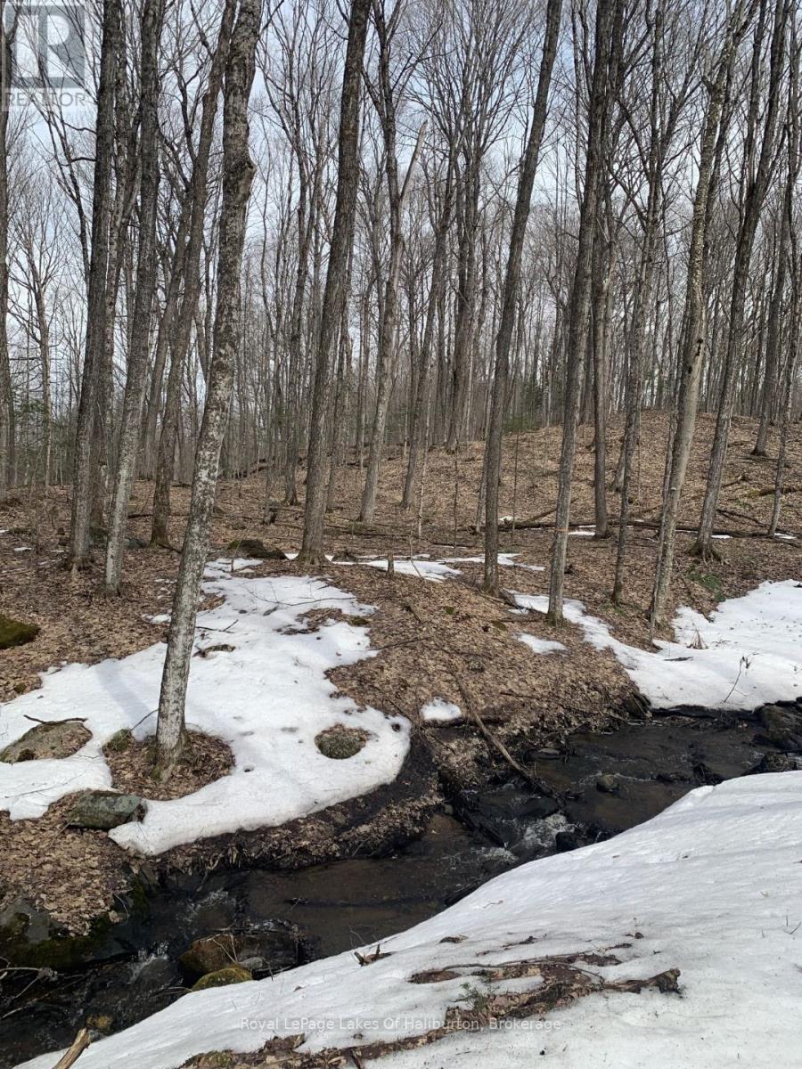 0 Kashagawigamog Lake Road, Minden Hills, Ontario  K0M 1S0 - Photo 38 - X12085655