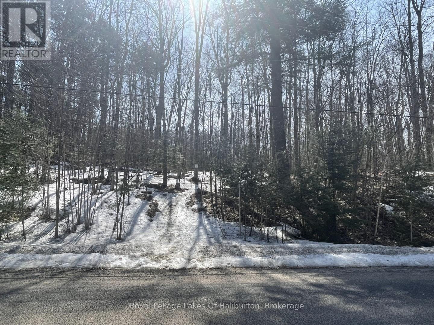 0 Kashagawigamog Lake Road, Minden Hills, Ontario  K0M 1S0 - Photo 41 - X12085655