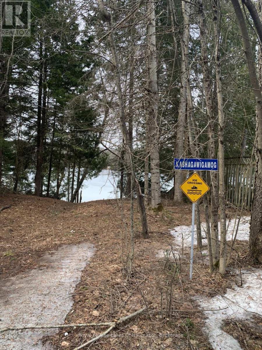 0 Kashagawigamog Lake Road, Minden Hills, Ontario  K0M 1S0 - Photo 47 - X12085655