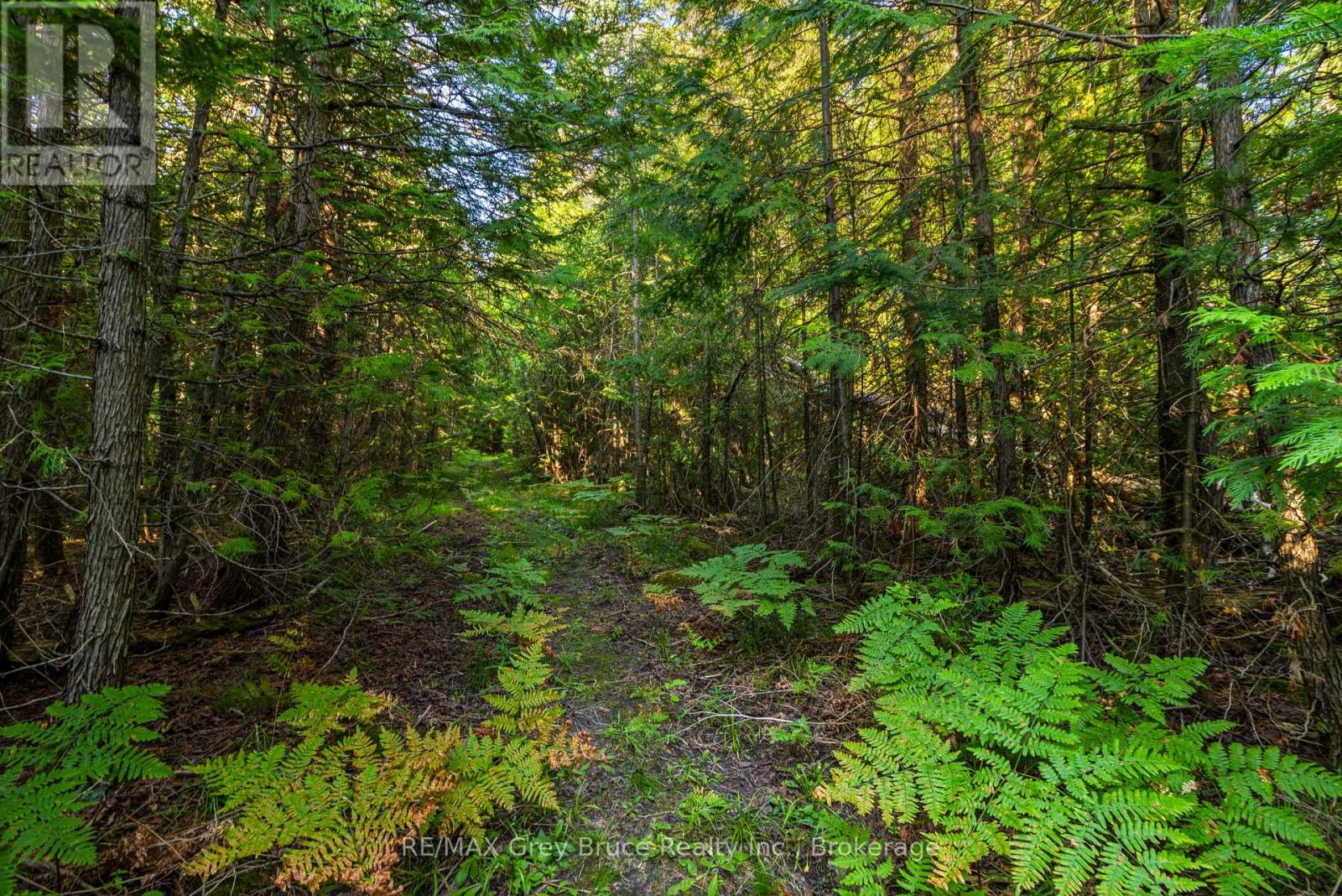 Part 10 Highway 6, Northern Bruce Peninsula, Ontario  N0H 1Z0 - Photo 20 - X11964302