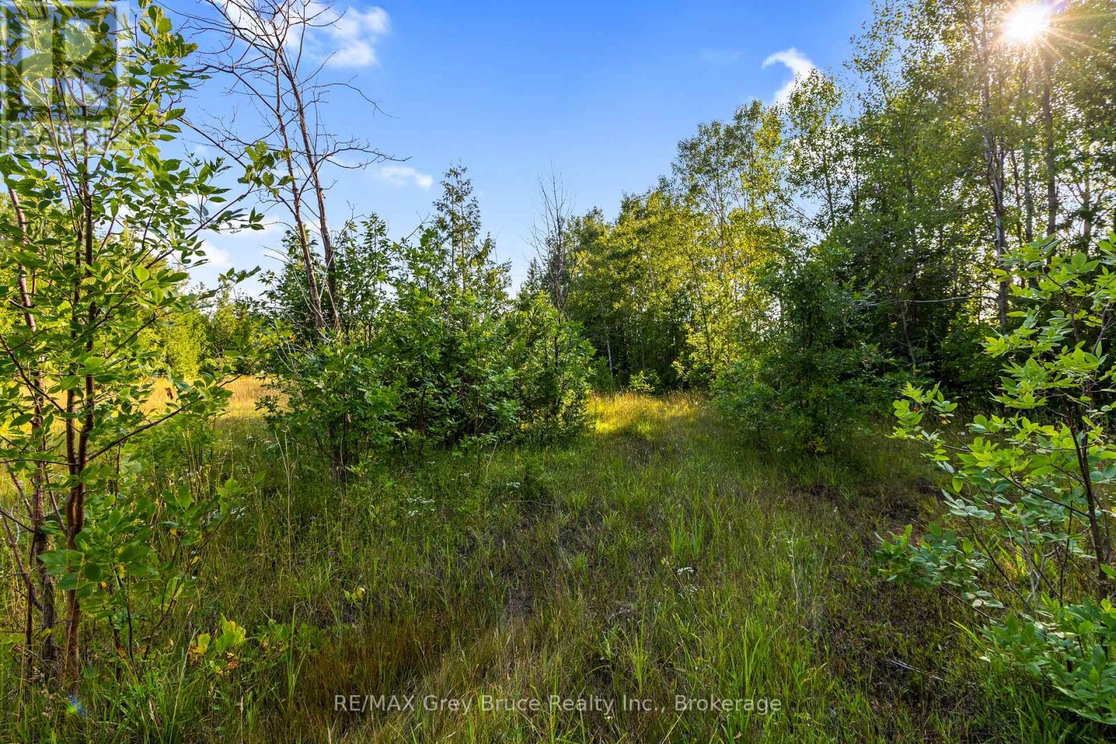 Part 10 Highway 6, Northern Bruce Peninsula, Ontario  N0H 1Z0 - Photo 17 - X11964302