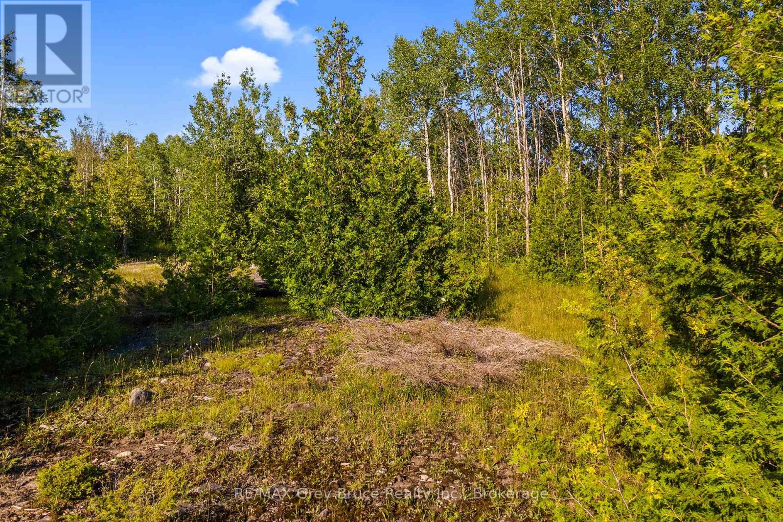 Part 10 Highway 6, Northern Bruce Peninsula, Ontario  N0H 1Z0 - Photo 31 - X11964302