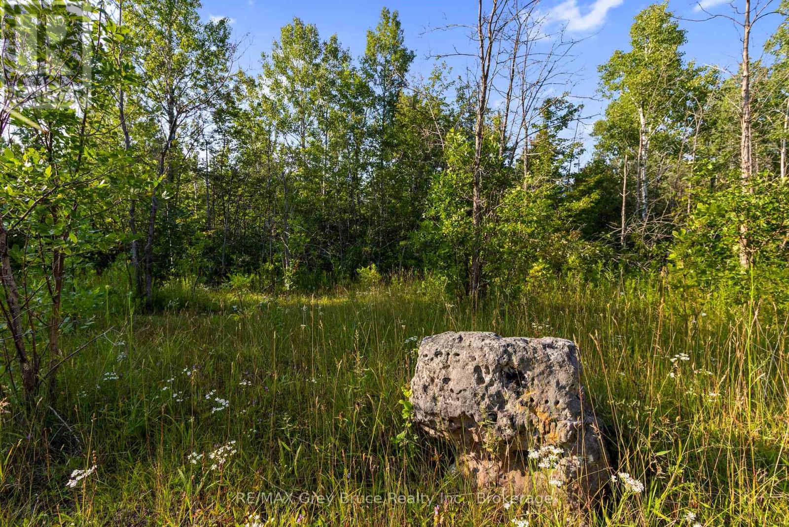Part 10 Highway 6, Northern Bruce Peninsula, Ontario  N0H 1Z0 - Photo 16 - X11964302