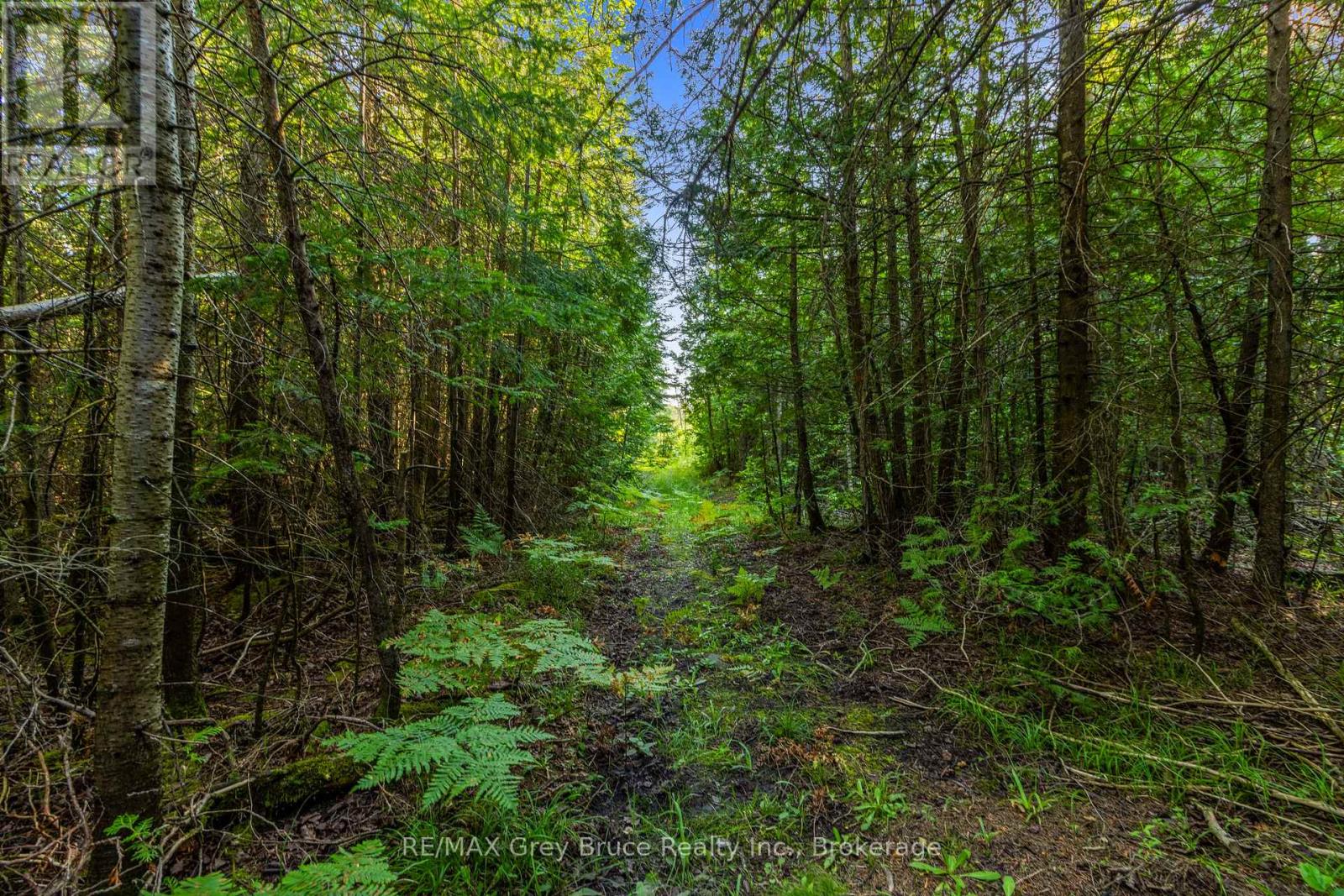 Part 10 Highway 6, Northern Bruce Peninsula, Ontario  N0H 1Z0 - Photo 21 - X11964302