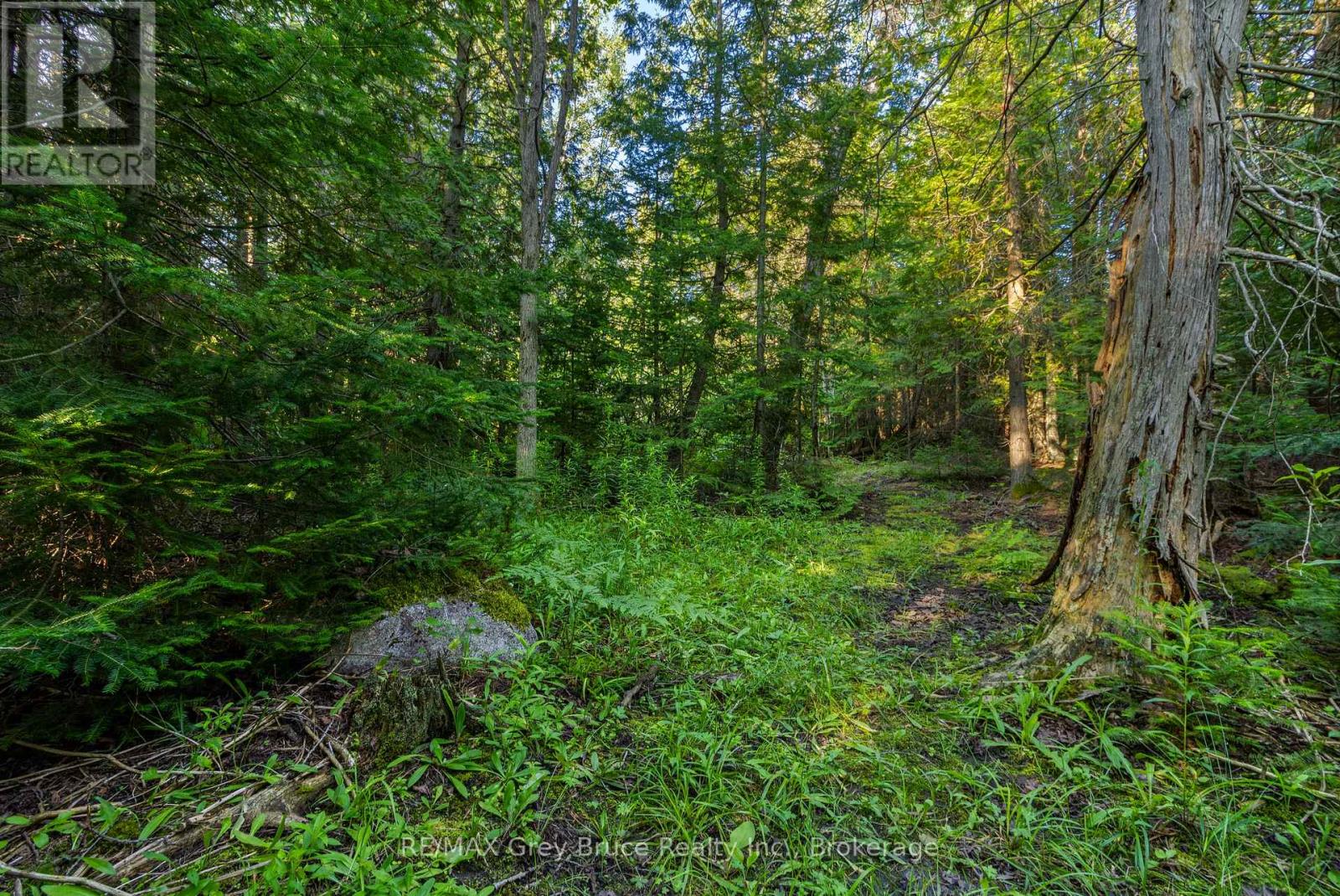 Part 10 Highway 6, Northern Bruce Peninsula, Ontario  N0H 1Z0 - Photo 23 - X11964302