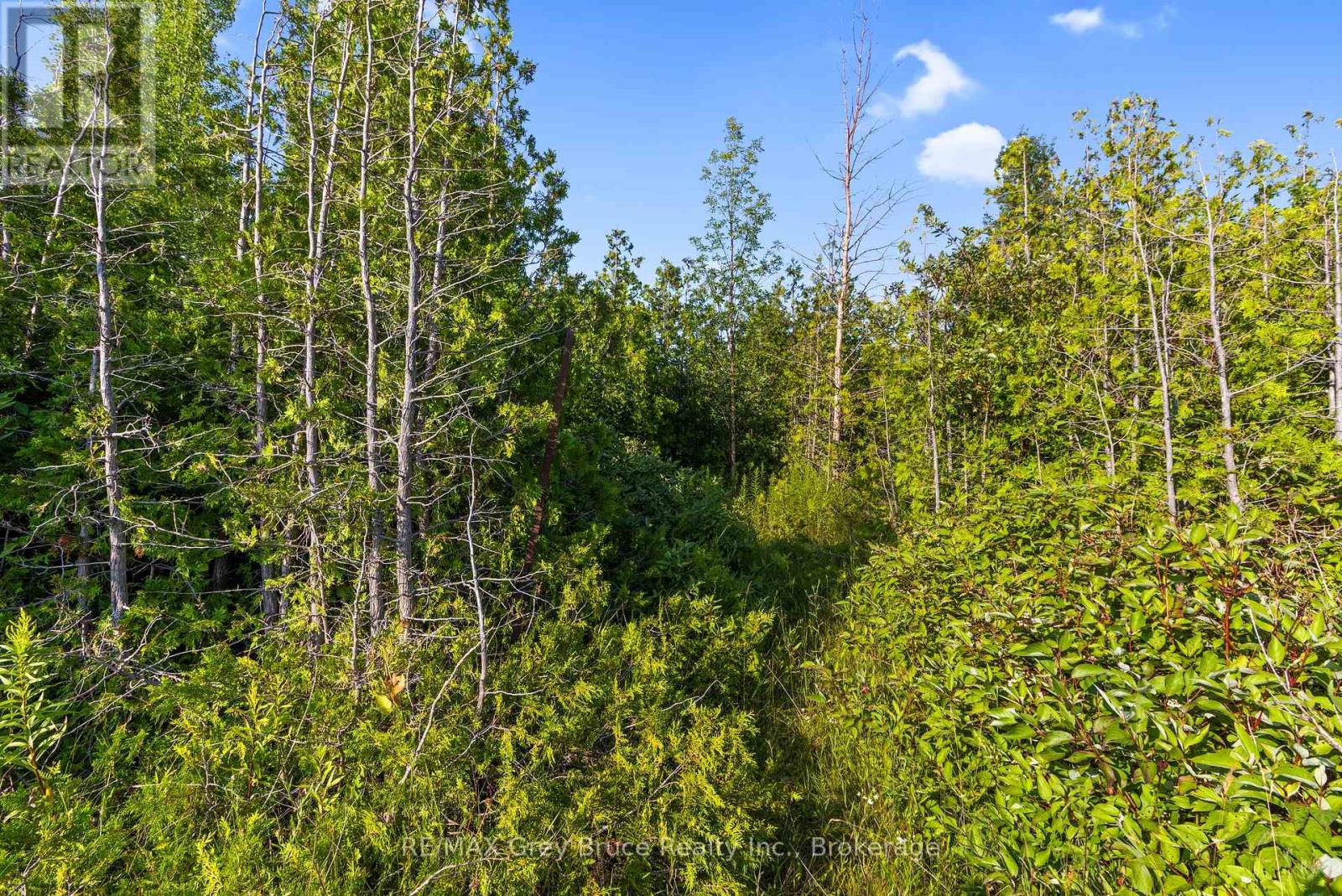 Part 10 Highway 6, Northern Bruce Peninsula, Ontario  N0H 1Z0 - Photo 25 - X11964302