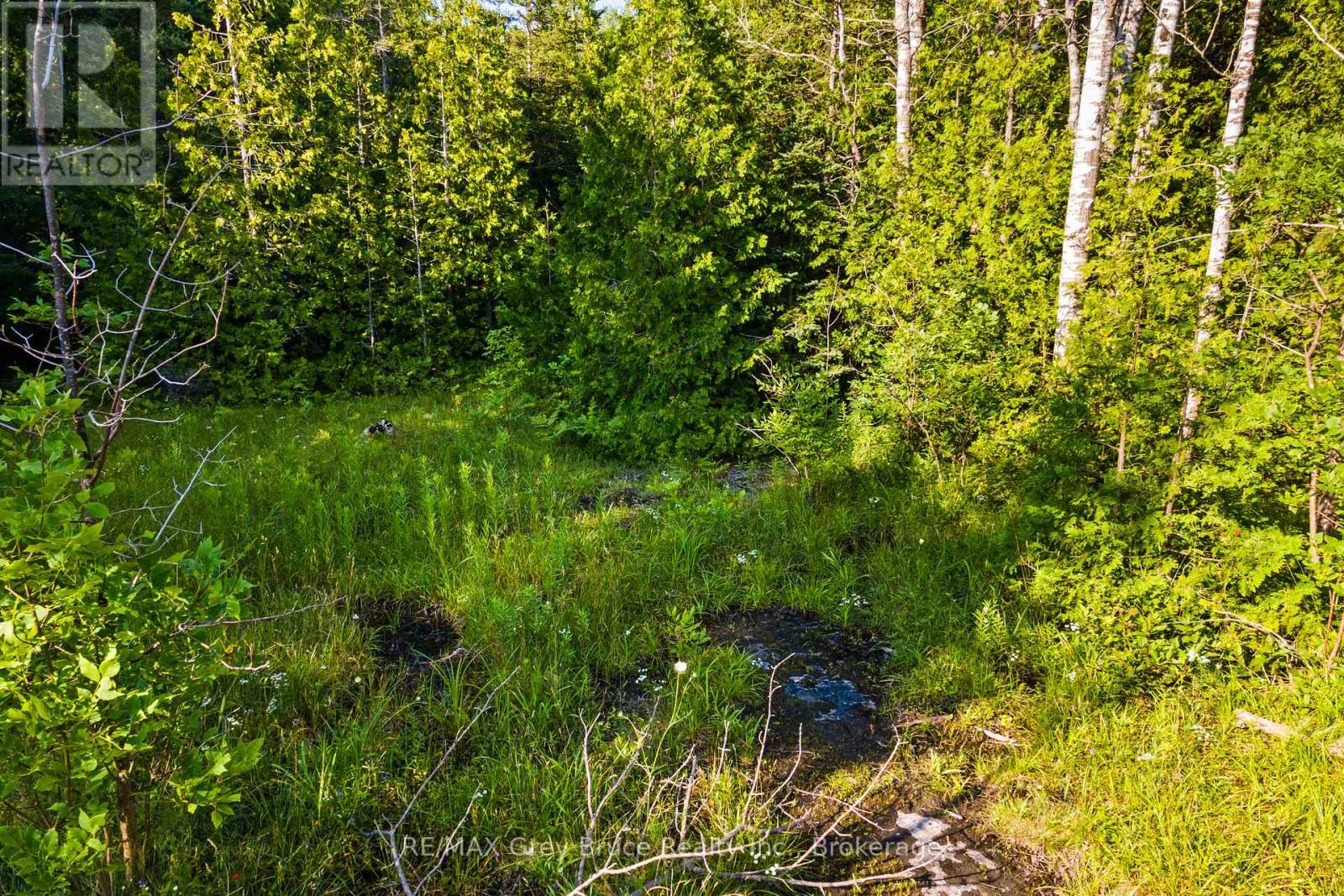 Part 10 Highway 6, Northern Bruce Peninsula, Ontario  N0H 1Z0 - Photo 34 - X11964302