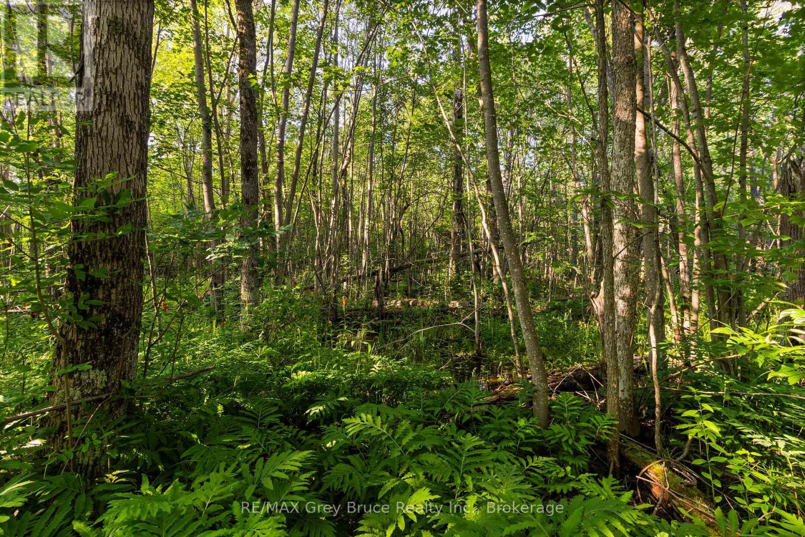 Pt 9/10 Highway 6, Northern Bruce Peninsula, Ontario  N0H 1Z0 - Photo 20 - X11964300