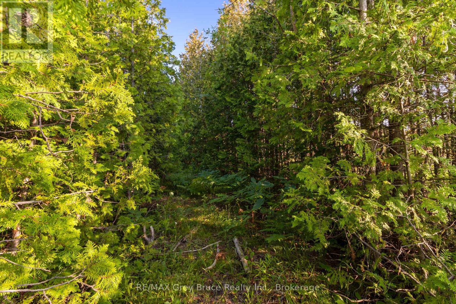 Pt 9/10 Highway 6, Northern Bruce Peninsula, Ontario  N0H 1Z0 - Photo 22 - X11964300